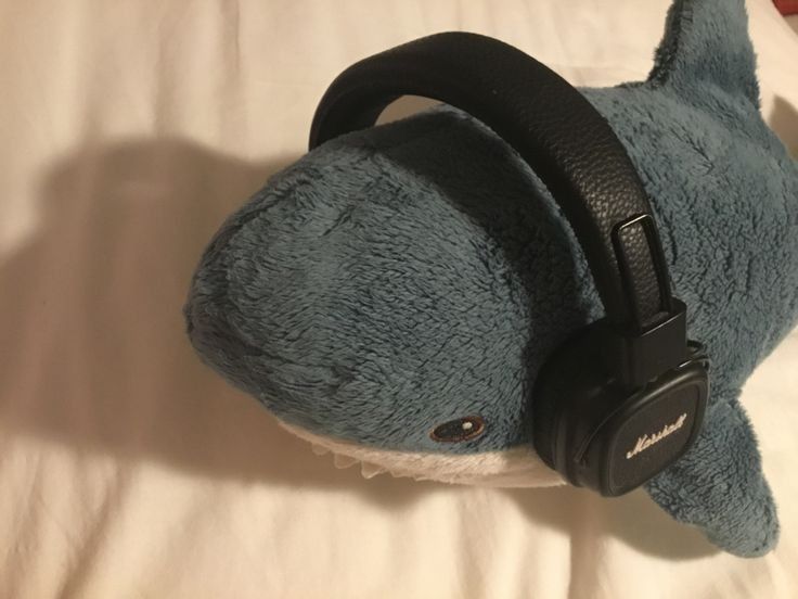 shark